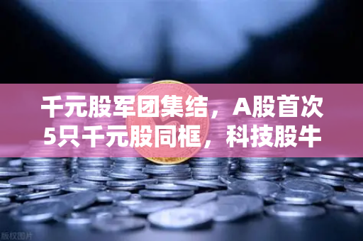 千元股军团集结，A股首次5只千元股同框，科技股牛市真的来了吗？
