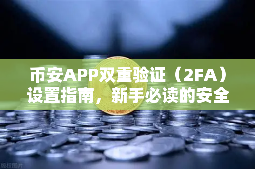 币安APP双重验证（2FA）设置指南，新手必读的安全防护手册