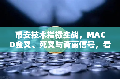 币安技术指标实战，MACD金叉、死叉与背离信号，看懂这一篇就够了