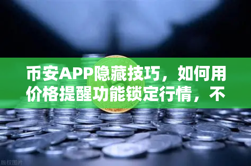 币安APP隐藏技巧，如何用价格提醒功能锁定行情，不错过每一个买卖点？