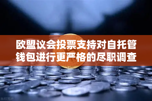 欧盟议会投票支持对自托管钱包进行更严格的尽职调查,币安用户的下一步该怎么走?-第1张图片-币安Binance 欧盟议会投票支持对自托管钱包进行更严格的尽职调查,币安用户的下一步该怎么走?-第1张图片-币安Binance
