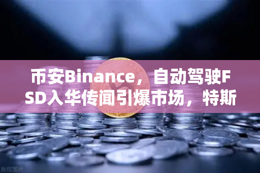 币安Binance，自动驾驶FSD入华传闻引爆市场，特斯拉股价应声大涨