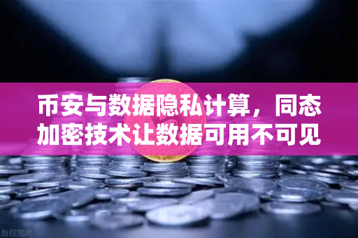 币安与数据隐私计算，同态加密技术让数据可用不可见