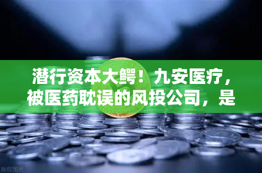 潜行资本大鳄!九安医疗,被医药耽误的风投公司,是否已布局加密赛道-第1张图片-币安Binance 潜行资本大鳄!九安医疗,被医药耽误的风投公司,是否已布局加密赛道-第1张图片-币安Binance