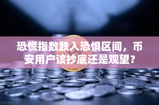 恐慌指数跌入恐惧区间，币安用户该抄底还是观望？