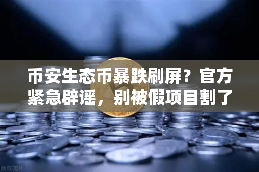 币安生态币暴跌刷屏？官方紧急辟谣，别被假项目割了韭菜
