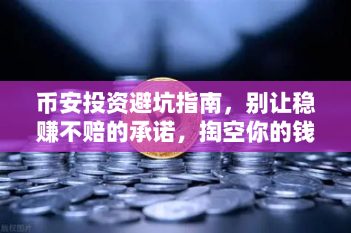 币安投资避坑指南，别让稳赚不赔的承诺，掏空你的钱包