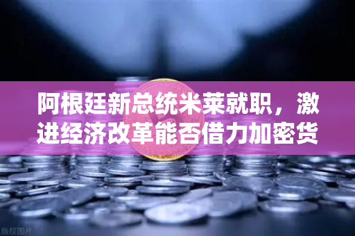 阿根廷新总统米莱就职，激进经济改革能否借力加密货币破局？