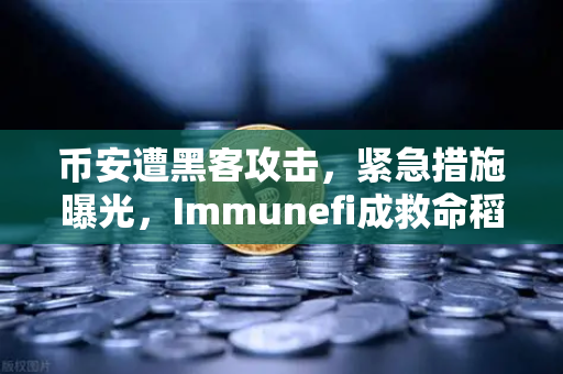 币安遭黑客攻击，紧急措施曝光，Immunefi成救命稻草？-第1张图片-币安Binance