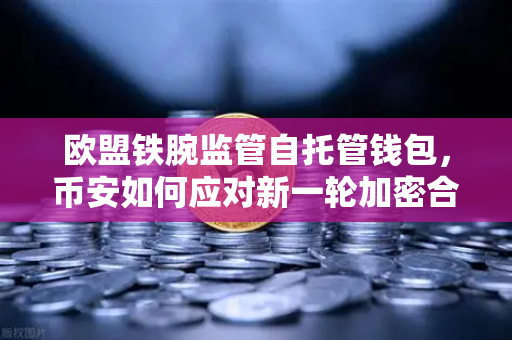 欧盟铁腕监管自托管钱包，币安如何应对新一轮加密合规风暴？
