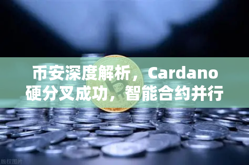 币安深度解析，Cardano硬分叉成功，智能合约并行处理性能大幅提升