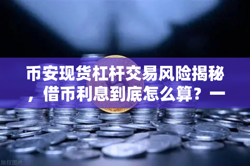 币安现货杠杆交易风险揭秘，借币利息到底怎么算？一文讲透
