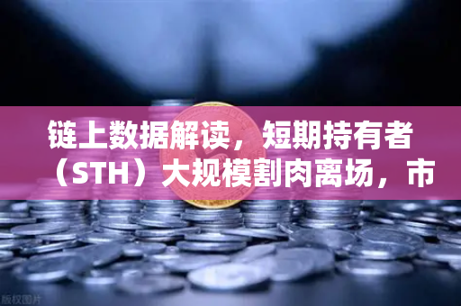 链上数据解读，短期持有者（STH）大规模割肉离场，市场底在何方？