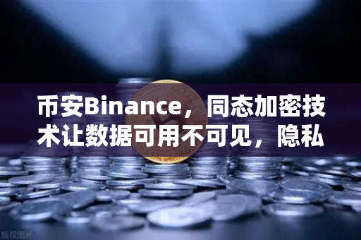 币安Binance,同态加密技术让数据可用不可见,隐私计算的未来已来-第1张图片-币安Binance 币安Binance,同态加密技术让数据可用不可见,隐私计算的未来已来-第1张图片-币安Binance