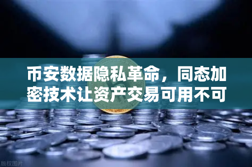 币安数据隐私革命，同态加密技术让资产交易可用不可见