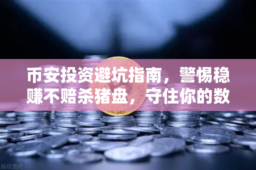 币安投资避坑指南，警惕稳赚不赔杀猪盘，守住你的数字资产