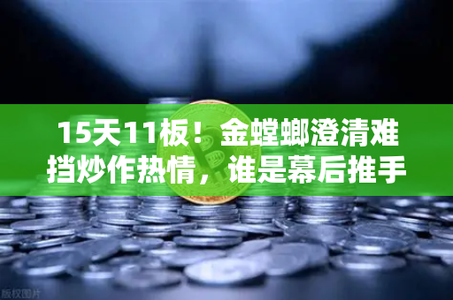 15天11板！金螳螂澄清难挡炒作热情，谁是幕后推手？游资手法解析