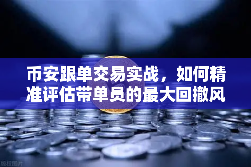 币安跟单交易实战，如何精准评估带单员的最大回撤风险？避免踩坑的五大核心指标