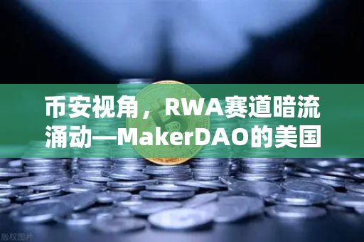 币安视角，RWA赛道暗流涌动—MakerDAO的美国国债持仓暴增，DeFi与现实的暧昧正在改写加密金融规则
