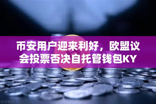 币安用户迎来利好，欧盟议会投票否决自托管钱包KYC提案，加密自由再获胜利