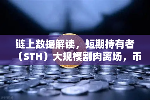 链上数据解读，短期持有者（STH）大规模割肉离场，币安的抄底信号来了？