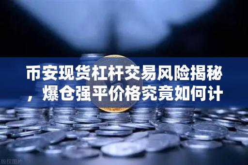 币安现货杠杆交易风险揭秘，爆仓强平价格究竟如何计算？