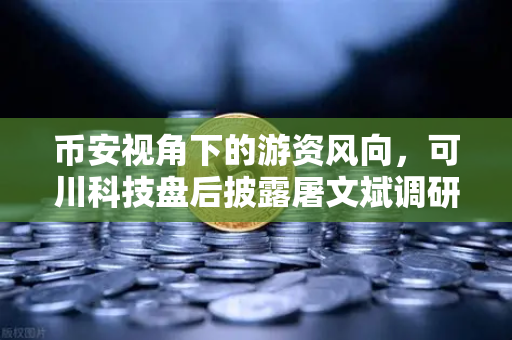 币安视角下的游资风向，可川科技盘后披露屠文斌调研，背后玄机何在？