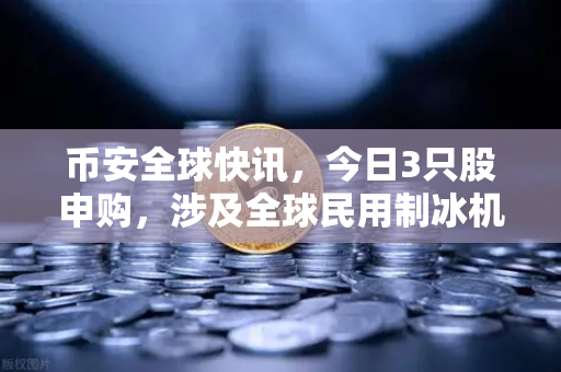 币安全球快讯，今日3只股申购，涉及全球民用制冰机龙头—投资风口与数字资产配置新思路