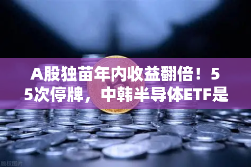A股独苗年内收益翻倍！55次停牌，中韩半导体ETF是机会还是坑？深度拆解