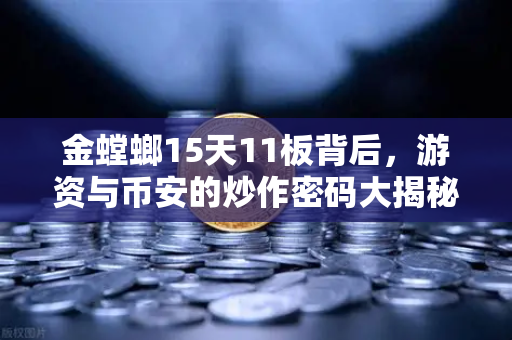 金螳螂15天11板背后，游资与币安的炒作密码大揭秘-第1张图片-币安Binance