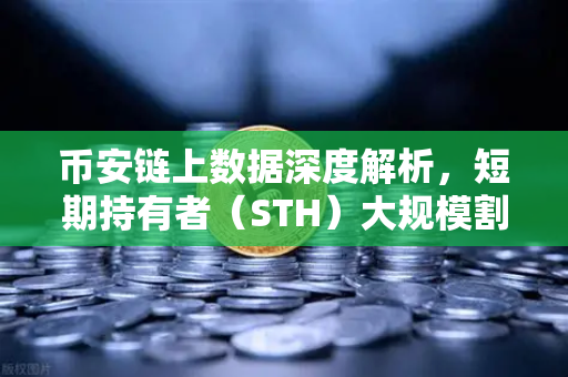 币安链上数据深度解析，短期持有者（STH）大规模割肉离场，市场见底信号已现？
