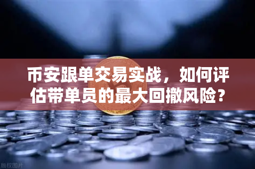 币安跟单交易实战，如何评估带单员的最大回撤风险？深度解析与避坑指南