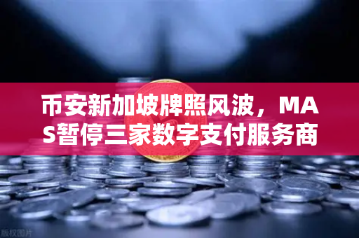 币安新加坡牌照风波,MAS暂停三家数字支付服务商申请,加密市场何去何从?-第1张图片-币安Binance 币安新加坡牌照风波,MAS暂停三家数字支付服务商申请,加密市场何去何从?-第1张图片-币安Binance