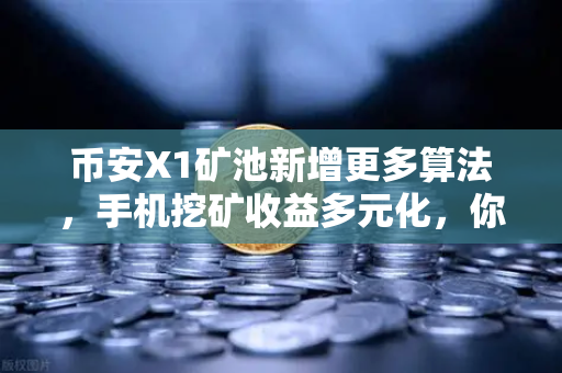 币安X1矿池新增更多算法，手机挖矿收益多元化，你的躺赚之路更宽了