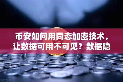 币安如何用同态加密技术，让数据可用不可见？数据隐私计算的全新实践