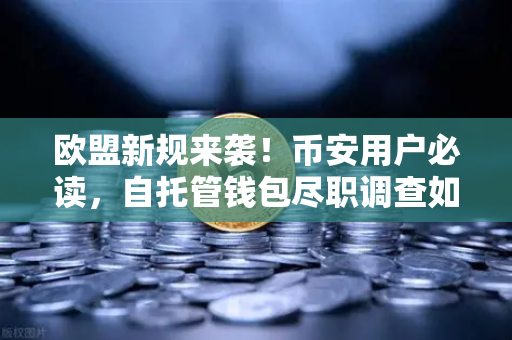 欧盟新规来袭！币安用户必读，自托管钱包尽职调查如何影响你的资产安全？