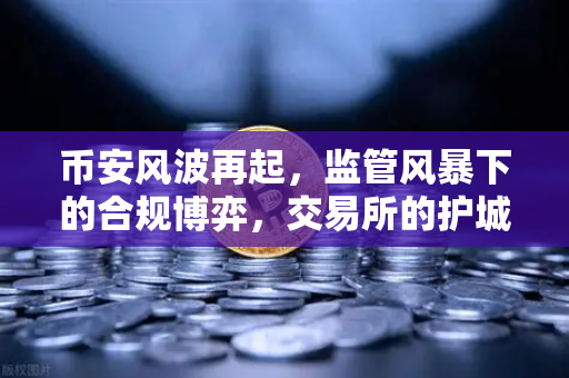 币安风波再起，监管风暴下的合规博弈，交易所的护城河在哪？