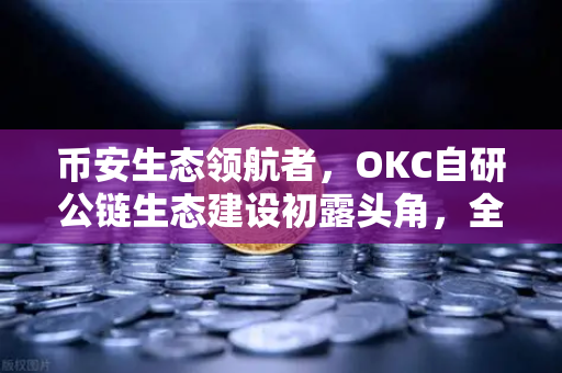 币安生态领航者，OKC自研公链生态建设初露头角，全面满足用户多元加密数字资产业务需求