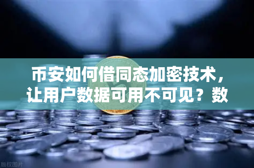 币安如何借同态加密技术，让用户数据可用不可见？数据隐私计算变革解读