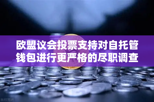 欧盟议会投票支持对自托管钱包进行更严格的尽职调查，币安用户该如何应对？