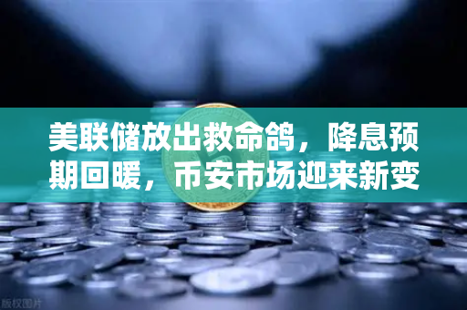 美联储放出救命鸽，降息预期回暖，币安市场迎来新变局？